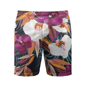 Мужские шорты 3D спортивные с принтом Орхидея в Белгороде,  |  | flower | букет | краски | орхидеи | природа | текстуры | тропики | тропический | цветочки | цветы