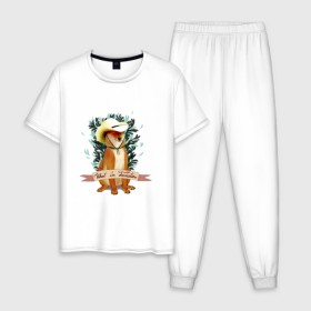 Мужская пижама хлопок с принтом What in Tarnation? в Белгороде, 100% хлопок | брюки и футболка прямого кроя, без карманов, на брюках мягкая резинка на поясе и по низу штанин
 | dog | doge | meme | memes | мем | мемы | собака | собакен | шиба ину