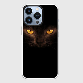 Чехол для iPhone 13 Pro с принтом Кошачий Взгляд в Белгороде,  |  | глаза | желтый | кот | котейка | котенок | котик | котя | кошка | усатый