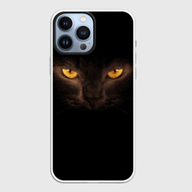 Чехол для iPhone 13 Pro Max с принтом Кошачий Взгляд в Белгороде,  |  | глаза | желтый | кот | котейка | котенок | котик | котя | кошка | усатый