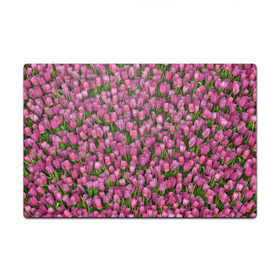 Пазл магнитный 126 элементов с принтом Розовые тюльпаны в Белгороде, полимерный материал с магнитным слоем | 126 деталей, размер изделия —  180*270 мм | Тематика изображения на принте: 