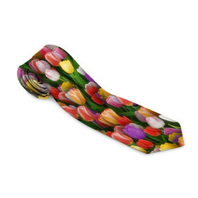 Галстук 3D с принтом Разноцветные тюльпаны в Белгороде, 100% полиэстер | Длина 148 см; Плотность 150-180 г/м2 | 8 марта | tulip | белый | букет | желтый | зеленый | красный | паттерн | розовый | тюльпан | тюльпанчики | цветок | цветочки | цветы