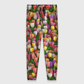 Женские брюки 3D с принтом Разноцветные тюльпаны в Белгороде, полиэстер 100% | прямой крой, два кармана без застежек по бокам, с мягкой трикотажной резинкой на поясе и по низу штанин. В поясе для дополнительного комфорта — широкие завязки | Тематика изображения на принте: 8 марта | tulip | белый | букет | желтый | зеленый | красный | паттерн | розовый | тюльпан | тюльпанчики | цветок | цветочки | цветы