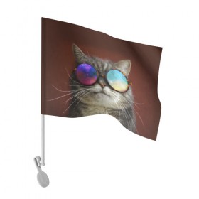 Флаг для автомобиля с принтом котейки в Белгороде, 100% полиэстер | Размер: 30*21 см | cat | взгляд | космос | кот | котик | очки