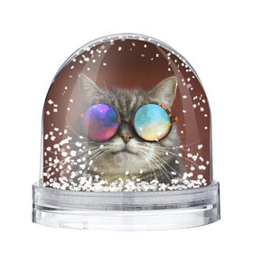 Снежный шар с принтом котейки в Белгороде, Пластик | Изображение внутри шара печатается на глянцевой фотобумаге с двух сторон | cat | взгляд | космос | кот | котик | очки