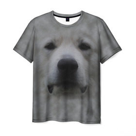Мужская футболка 3D с принтом Лабрадор в Белгороде, 100% полиэфир | прямой крой, круглый вырез горловины, длина до линии бедер | голова | животные | лабрадор | пес | природа | собака | собачка | щенок