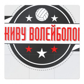 Магнитный плакат 3Х3 с принтом Волейбол в Белгороде, Полимерный материал с магнитным слоем | 9 деталей размером 9*9 см | volleyball | волейбол