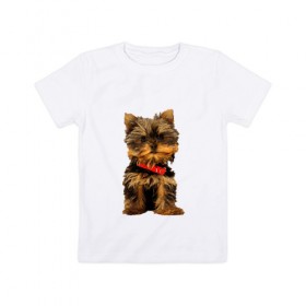 Детская футболка хлопок с принтом Нарисованный йорк в Белгороде, 100% хлопок | круглый вырез горловины, полуприлегающий силуэт, длина до линии бедер | Тематика изображения на принте: йорк | йоркширский терьер | нарисованная собака | собаки
