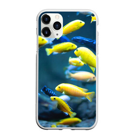 Чехол для iPhone 11 Pro матовый с принтом Рыбки в Белгороде, Силикон |  | fish | fishes | pisces | море | морские обитатели | морской | океан | рыбы