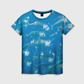 Женская футболка 3D с принтом Рыбы океана в Белгороде, 100% полиэфир ( синтетическое хлопкоподобное полотно) | прямой крой, круглый вырез горловины, длина до линии бедер | fish | fishes | pisces | море | морские обитатели | морской | океан | рыбы
