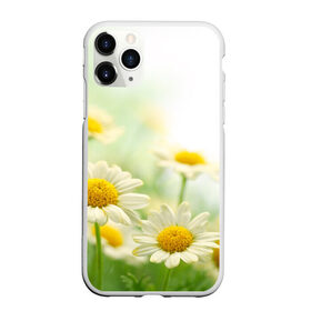 Чехол для iPhone 11 Pro матовый с принтом Полевые ромашки в Белгороде, Силикон |  | луг | поле | цветы