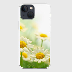 Чехол для iPhone 13 mini с принтом Полевые ромашки в Белгороде,  |  | луг | поле | цветы