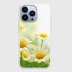 Чехол для iPhone 13 Pro с принтом Полевые ромашки в Белгороде,  |  | Тематика изображения на принте: луг | поле | цветы
