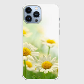Чехол для iPhone 13 Pro Max с принтом Полевые ромашки в Белгороде,  |  | Тематика изображения на принте: луг | поле | цветы