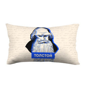 Подушка 3D антистресс с принтом Лев Толстой в Белгороде, наволочка — 100% полиэстер, наполнитель — вспененный полистирол | состоит из подушки и наволочки на молнии | Тематика изображения на принте: 