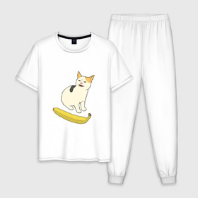 Мужская пижама хлопок с принтом Cat no banana в Белгороде, 100% хлопок | брюки и футболка прямого кроя, без карманов, на брюках мягкая резинка на поясе и по низу штанин
 | angry cat | banana | cat | no banana