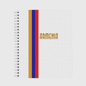 Тетрадь с принтом Armenia 2 в Белгороде, 100% бумага | 48 листов, плотность листов — 60 г/м2, плотность картонной обложки — 250 г/м2. Листы скреплены сбоку удобной пружинной спиралью. Уголки страниц и обложки скругленные. Цвет линий — светло-серый
 | Тематика изображения на принте: armenia | армения