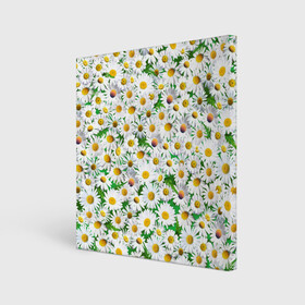 Холст квадратный с принтом Ромашки в Белгороде, 100% ПВХ |  | chamomile | daisies | flowers | nature | природа | растения | ромашки | текстура | цветы