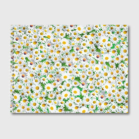 Альбом для рисования с принтом Ромашки в Белгороде, 100% бумага
 | матовая бумага, плотность 200 мг. | chamomile | daisies | flowers | nature | природа | растения | ромашки | текстура | цветы