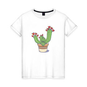 Женская футболка хлопок с принтом Кактус в Белгороде, 100% хлопок | прямой крой, круглый вырез горловины, длина до линии бедер, слегка спущенное плечо | горшок | растение | цветет | цветок