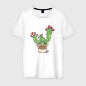 Мужская футболка хлопок с принтом Кактус в Белгороде, 100% хлопок | прямой крой, круглый вырез горловины, длина до линии бедер, слегка спущенное плечо. | горшок | растение | цветет | цветок
