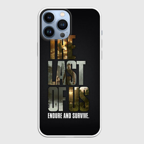 Чехол для iPhone 13 Pro Max с принтом The Last of Us в Белгороде,  |  | Тематика изображения на принте: the last of us | гриб | грибы | джоэл | кордицепс | пиратs | элли