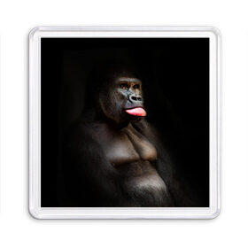 Магнит 55*55 с принтом Горилла в Белгороде, Пластик | Размер: 65*65 мм; Размер печати: 55*55 мм | Тематика изображения на принте: горилла | животные | обезьяна | прикол | природа | смешно | юмор | язык
