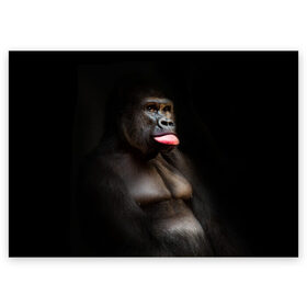 Поздравительная открытка с принтом Горилла в Белгороде, 100% бумага | плотность бумаги 280 г/м2, матовая, на обратной стороне линовка и место для марки
 | Тематика изображения на принте: горилла | животные | обезьяна | прикол | природа | смешно | юмор | язык