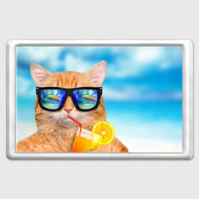 Магнит 45*70 с принтом Кот на пляже в Белгороде, Пластик | Размер: 78*52 мм; Размер печати: 70*45 | summer | апельсиновый сок | кот | кот на пляже | коте | котик | котэ | котяра | лето | море | небо | отдых | очки | пляже