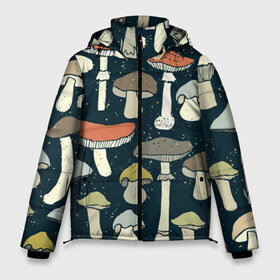Мужская зимняя куртка 3D с принтом Загадочный лес в Белгороде, верх — 100% полиэстер; подкладка — 100% полиэстер; утеплитель — 100% полиэстер | длина ниже бедра, свободный силуэт Оверсайз. Есть воротник-стойка, отстегивающийся капюшон и ветрозащитная планка. 

Боковые карманы с листочкой на кнопках и внутренний карман на молнии. | грибы | паттерн