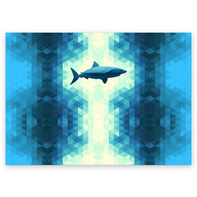 Поздравительная открытка с принтом Акула в Белгороде, 100% бумага | плотность бумаги 280 г/м2, матовая, на обратной стороне линовка и место для марки
 | shark | водолаз | гарпун | глубина | дельфин | злость | зубы | кит | кровь | курорт | лето | море | океан | отдых | охота | плавник | пляж | риф | рыба | хищник | челюсти | челюсть