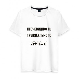 Мужская футболка хлопок с принтом Неочевидность тривиального в Белгороде, 100% хлопок | прямой крой, круглый вырез горловины, длина до линии бедер, слегка спущенное плечо. | математика