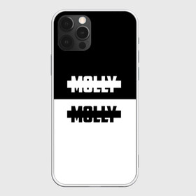 Чехол для iPhone 12 Pro с принтом Molly в Белгороде, силикон | область печати: задняя сторона чехла, без боковых панелей | molly | андрей густей | дмитрий гончаренко | кирилл бледный | кирилл тимошенко | моли пошлая | молли | ольга | павел холодянский | панк группа | поп панк | серябкина | синти панк