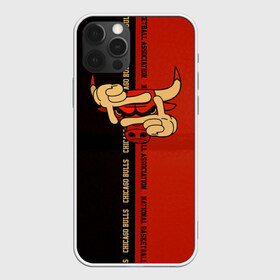 Чехол для iPhone 12 Pro Max с принтом NBA Chicago bulls в Белгороде, Силикон |  | basketball | chicago | chicago bulls | chicago buls | chikago | nba | баскетбол | буллз | буллс | бык | нба | чикаго буллз | чикаго буллс