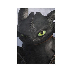 Обложка для паспорта матовая кожа с принтом как приручить дракона в Белгороде, натуральная матовая кожа | размер 19,3 х 13,7 см; прозрачные пластиковые крепления | Тематика изображения на принте: how to train your dragon | беззубик | дракон | как приручить дракона | ночная фурия
