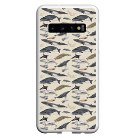 Чехол для Samsung Galaxy S10 с принтом Whales pattern в Белгороде, Силикон | Область печати: задняя сторона чехла, без боковых панелей | Тематика изображения на принте: whale | акула | горбач | касатка | кашалот | кит | море | океан | рыбы | синий кит