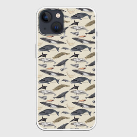 Чехол для iPhone 13 с принтом Whales pattern в Белгороде,  |  | Тематика изображения на принте: whale | акула | горбач | касатка | кашалот | кит | море | океан | рыбы | синий кит