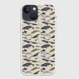 Чехол для iPhone 13 mini с принтом Whales pattern в Белгороде,  |  | Тематика изображения на принте: whale | акула | горбач | касатка | кашалот | кит | море | океан | рыбы | синий кит