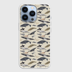 Чехол для iPhone 13 Pro с принтом Whales pattern в Белгороде,  |  | Тематика изображения на принте: whale | акула | горбач | касатка | кашалот | кит | море | океан | рыбы | синий кит