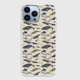 Чехол для iPhone 13 Pro Max с принтом Whales pattern в Белгороде,  |  | Тематика изображения на принте: whale | акула | горбач | касатка | кашалот | кит | море | океан | рыбы | синий кит