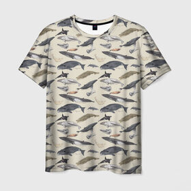 Мужская футболка 3D с принтом Whales pattern в Белгороде, 100% полиэфир | прямой крой, круглый вырез горловины, длина до линии бедер | whale | акула | горбач | касатка | кашалот | кит | море | океан | рыбы | синий кит