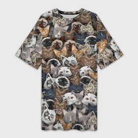 Платье-футболка 3D с принтом Коты разных пород в Белгороде,  |  | бенгальский | кот | котик | котики | кошка | мейн кун | паттерн | персидский | сиамский | сфинкс