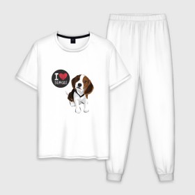 Мужская пижама хлопок с принтом Я люблю Бигля в Белгороде, 100% хлопок | брюки и футболка прямого кроя, без карманов, на брюках мягкая резинка на поясе и по низу штанин
 | Тематика изображения на принте: beagle | бигли | бигль | с биглем | с обакой | собака | собаки | собачки