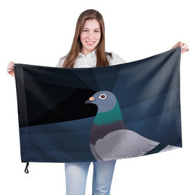 Флаг 3D с принтом Голубь Наташа в Белгороде, 100% полиэстер | плотность ткани — 95 г/м2, размер — 67 х 109 см. Принт наносится с одной стороны | natasha | голубь наташа | мемы