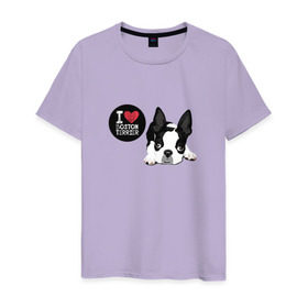 Мужская футболка хлопок с принтом Я люблю Бостон Терьер в Белгороде, 100% хлопок | прямой крой, круглый вырез горловины, длина до линии бедер, слегка спущенное плечо. | boston | бостон терьер | с собакой | собака | собаки | собачка | я люблю