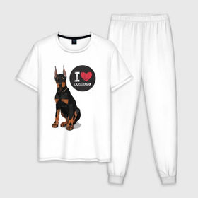 Мужская пижама хлопок с принтом Я люблю Добермана в Белгороде, 100% хлопок | брюки и футболка прямого кроя, без карманов, на брюках мягкая резинка на поясе и по низу штанин
 | Тематика изображения на принте: доберман | с доберманом | собака | собаки | собачки | я люблю