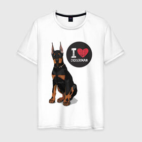 Мужская футболка хлопок с принтом Я люблю Добермана в Белгороде, 100% хлопок | прямой крой, круглый вырез горловины, длина до линии бедер, слегка спущенное плечо. | Тематика изображения на принте: доберман | с доберманом | собака | собаки | собачки | я люблю