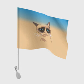 Флаг для автомобиля с принтом Grumpy cat ART в Белгороде, 100% полиэстер | Размер: 30*21 см | cat | grumpy | грустный кот | киса | кот | котэ | котяра | кошка | мем | сердитый кот