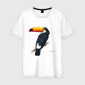 Мужская футболка хлопок с принтом Тукан в Белгороде, 100% хлопок | прямой крой, круглый вырез горловины, длина до линии бедер, слегка спущенное плечо. | птица | птицы | с птицей | тукан | экзотика