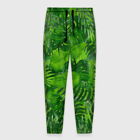 Мужские брюки 3D с принтом Тропики в Белгороде, 100% полиэстер | манжеты по низу, эластичный пояс регулируется шнурком, по бокам два кармана без застежек, внутренняя часть кармана из мелкой сетки | джунгли | зелень | лес | листья | тропики
